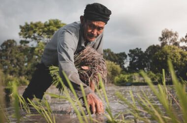 Man farming | Photo by Rattasat