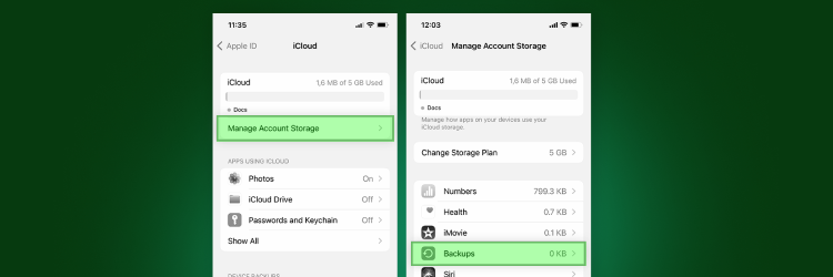 Check iCloud Backup