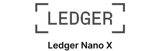 Ledger Nano X 1