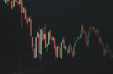 animecoin plunges despite major support 1